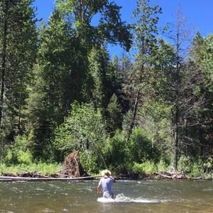 Meet your Posher, Will